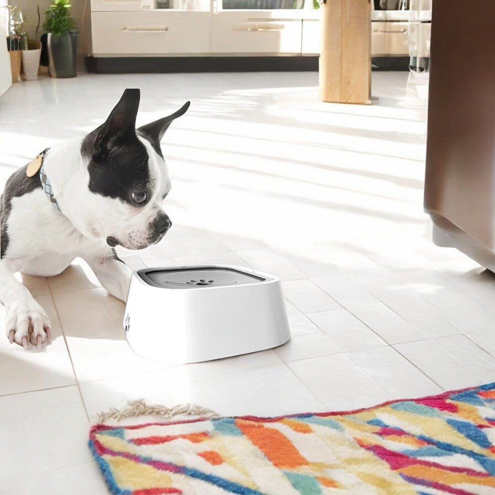 *NEW* Emmalove - AntiSplash dog bowl 