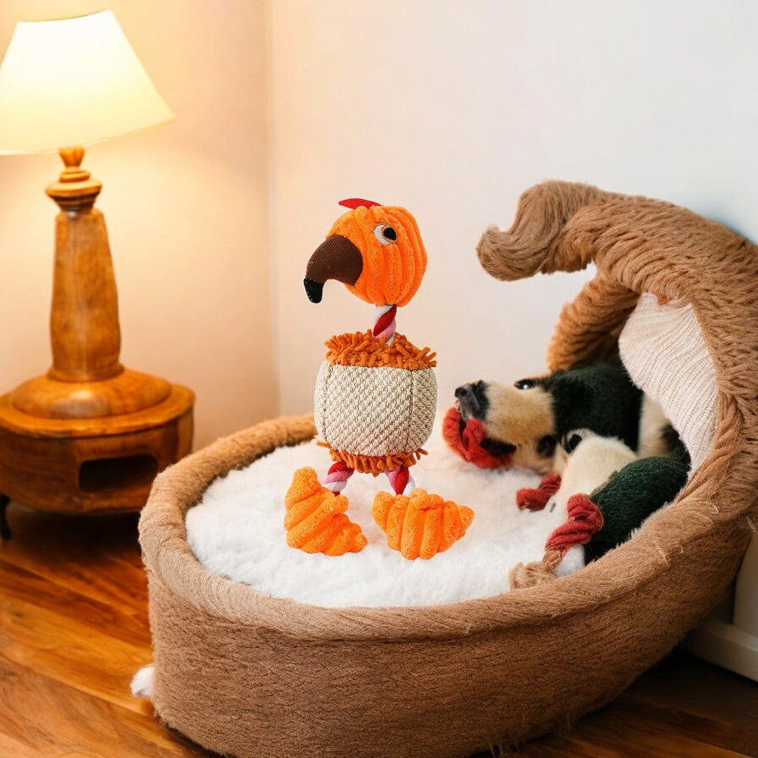 Emmalove - Parrot Petra