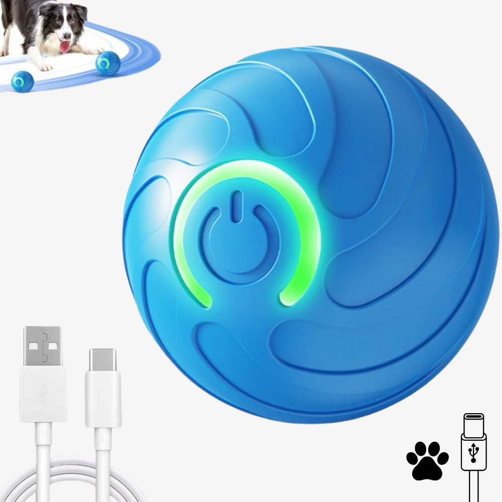 Interaktiver Spielball für Hunde mit einem spielenden Hund