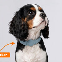 Hunde GPS Tracker (Abofrei) mit Halsband-Halter