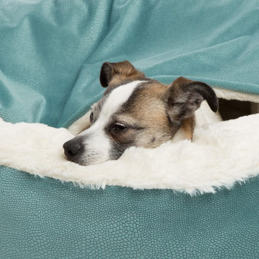 *New*Emmalove - cuddly cave for dogs 